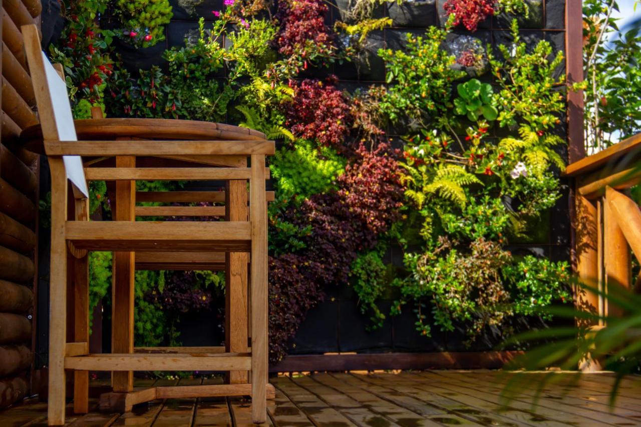 Sotavento Cabanas กัวตาเป ภายนอก รูปภาพ